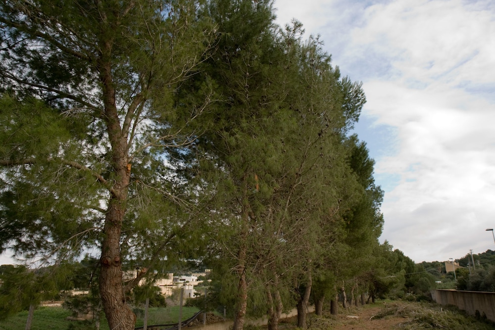 CasaSolare Rakalia
