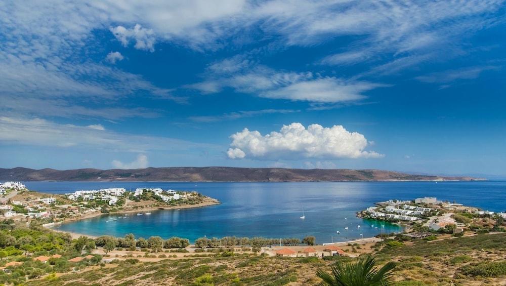 Hotel Sounio Villa - Image 1