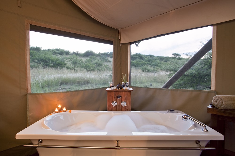 The Springbok Lodge