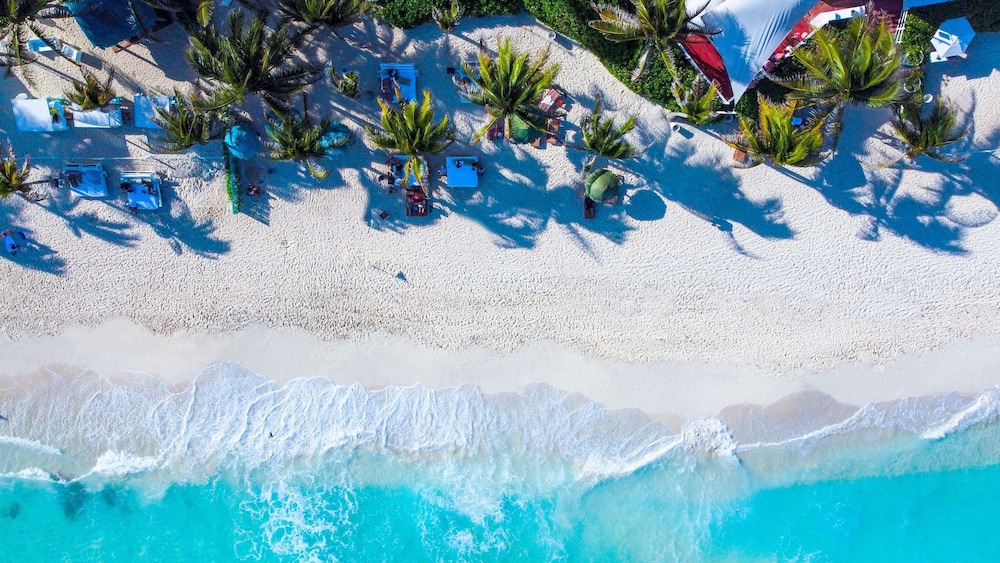 The Grand Oasis Cancun - All Inclusive