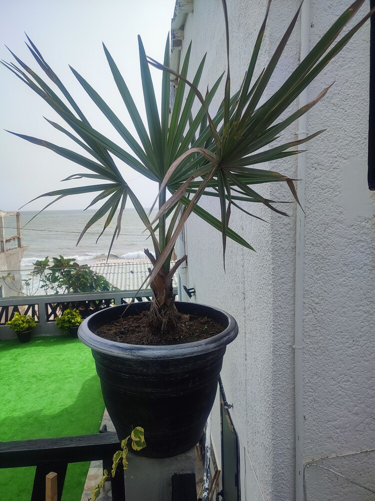 Photo 32