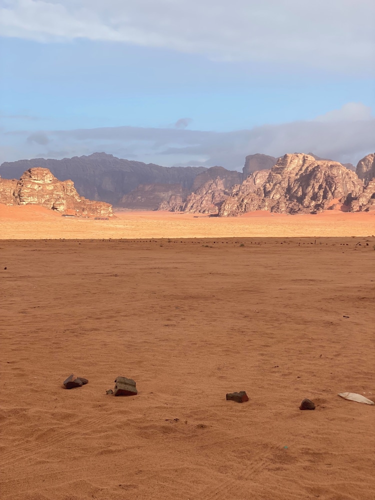 Desert tree camp