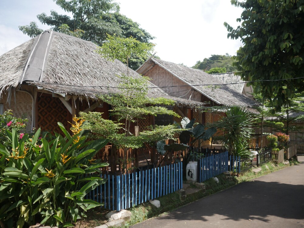 Photo 15