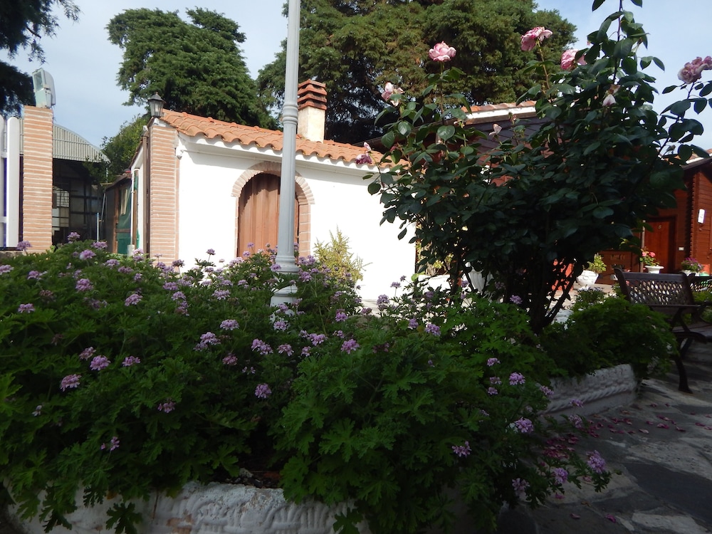 House With 2 Bedrooms In The Countryside Of Rome photo 3