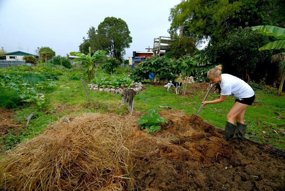 Karamea Farm Baches