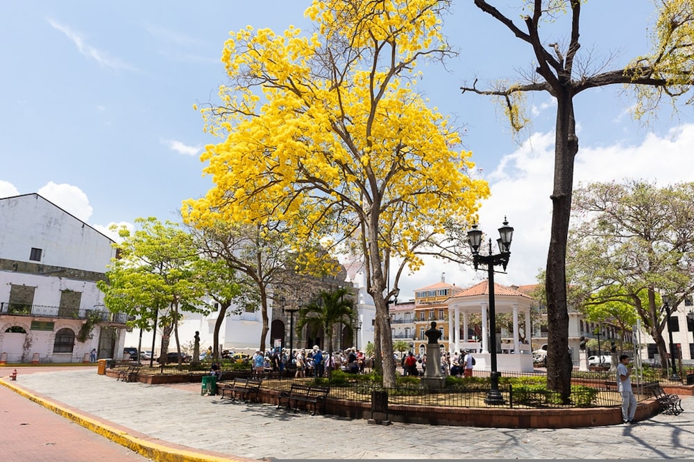 The Plaza Catedral Views by Acomodo Casco Viejo