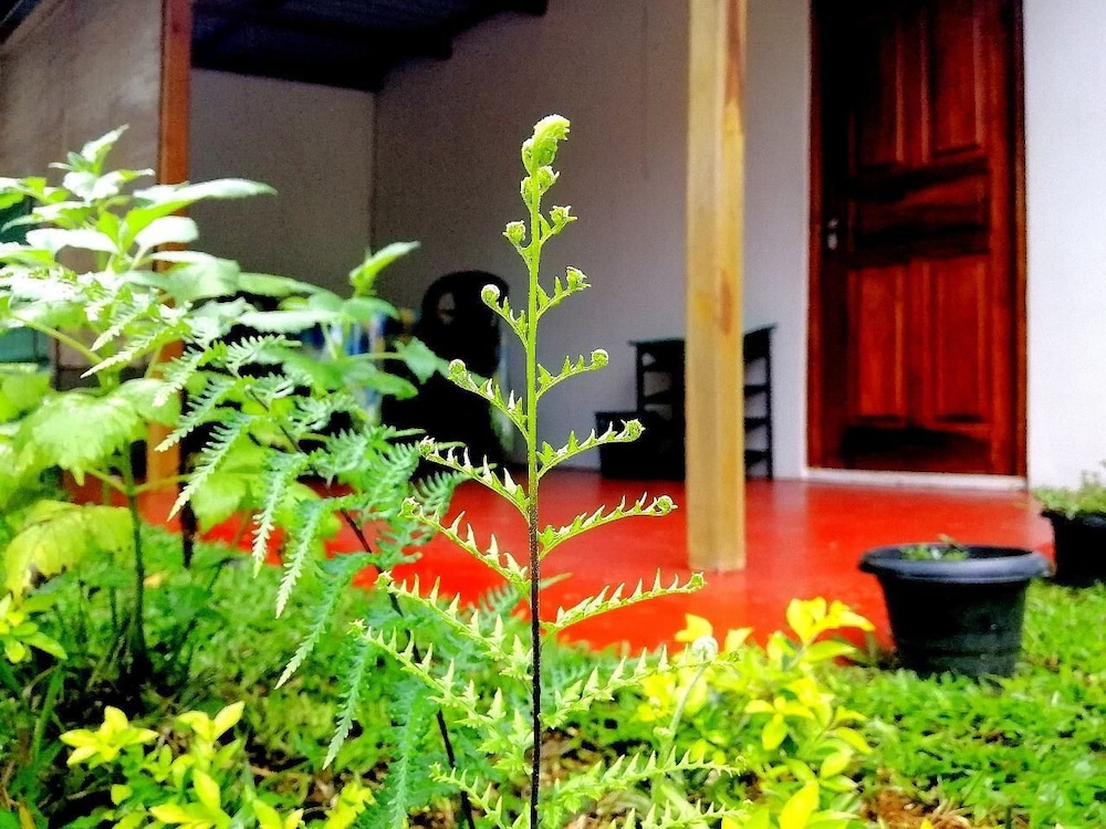 Ella Hotel Upper Hill