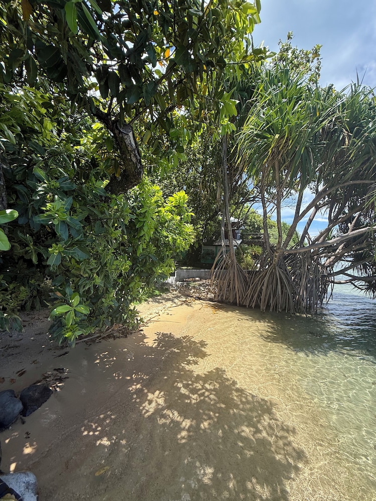 Vahine Ori Lodge