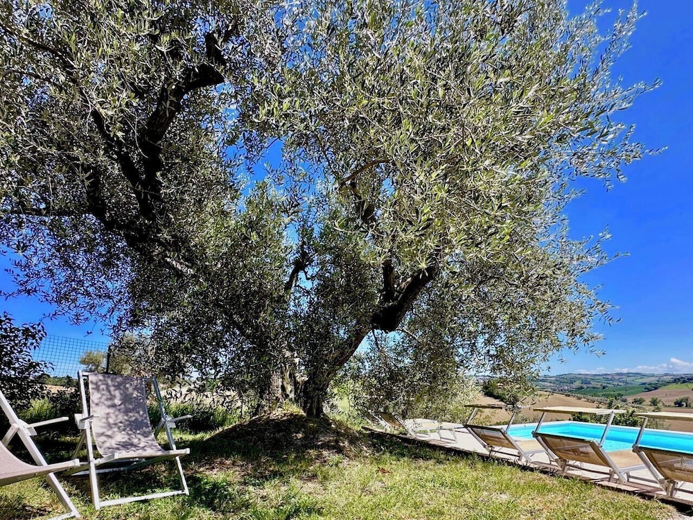the Gelso in Historic Villa With Pool in Senigallia