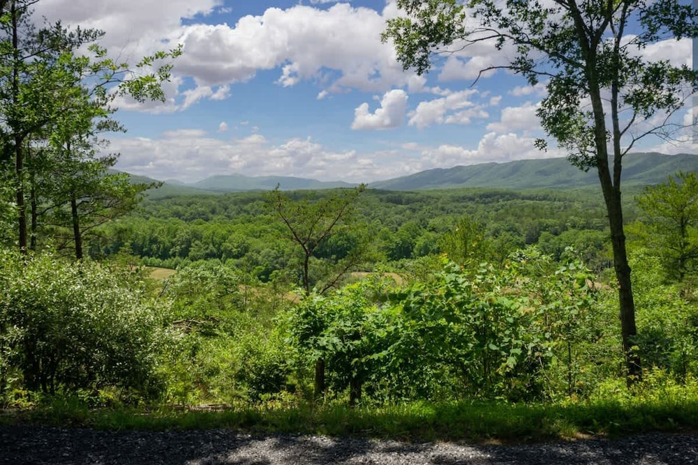 Shenandoah Retreat - Family Home