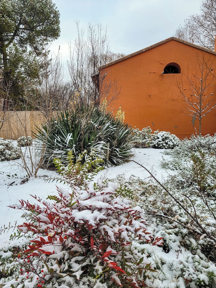 Finca La Saucina