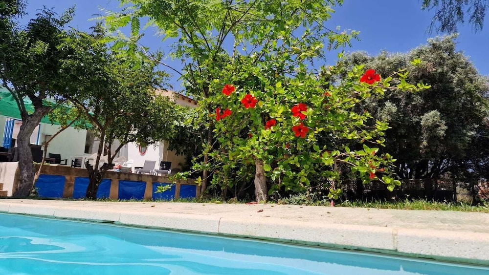 House With Exclusive Pool and Garden 7 min Walk From the Beach and the Center
