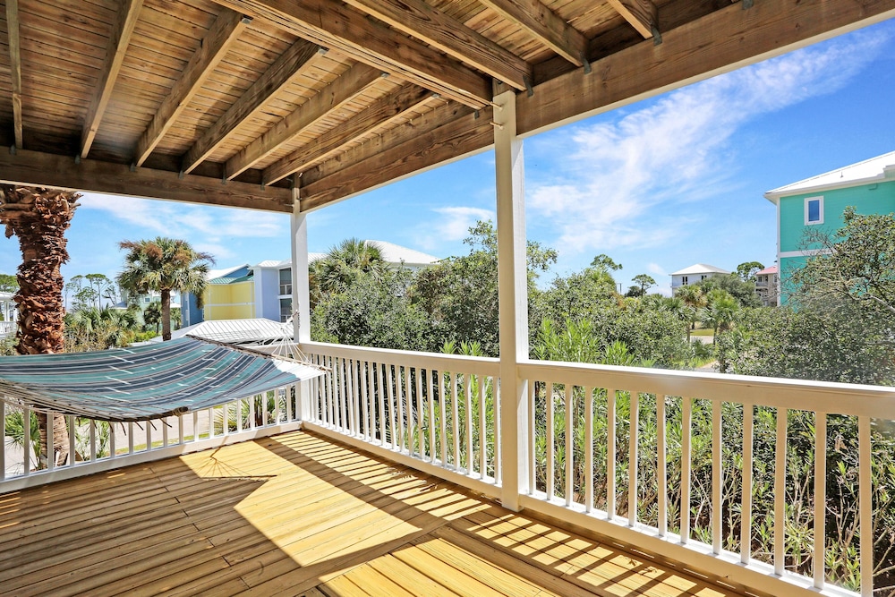 Cape Palms