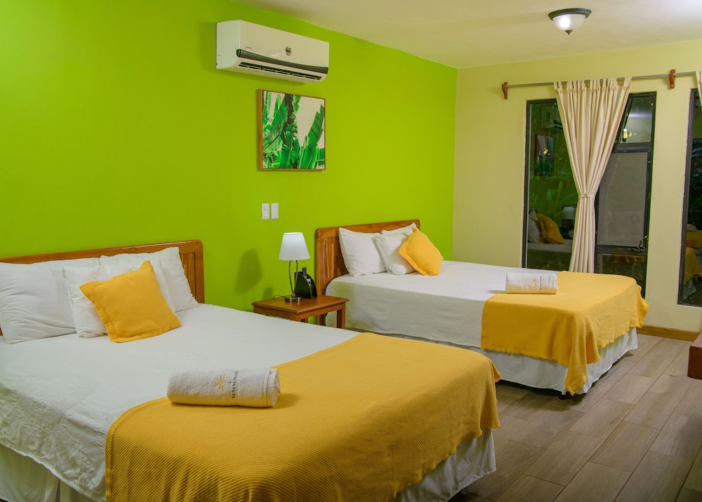 San Pedro Vacations - Banana Palms Hotel - Property Image 5