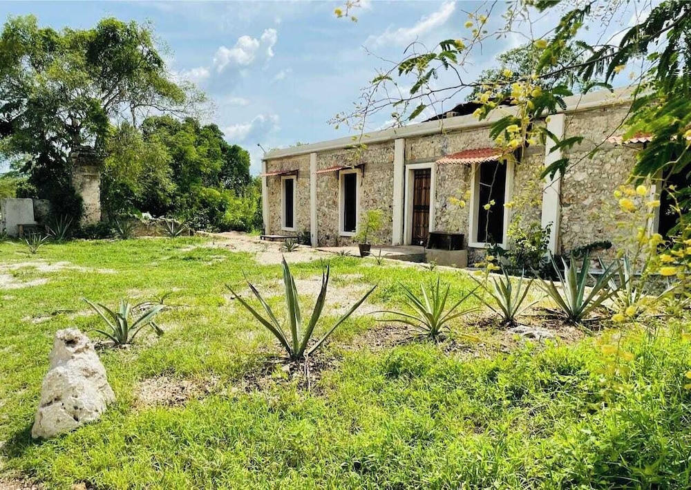HOSTAL ORO VERDE HOMUN view 2