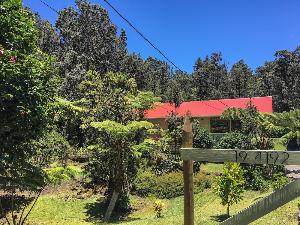 Hale KupuKupu