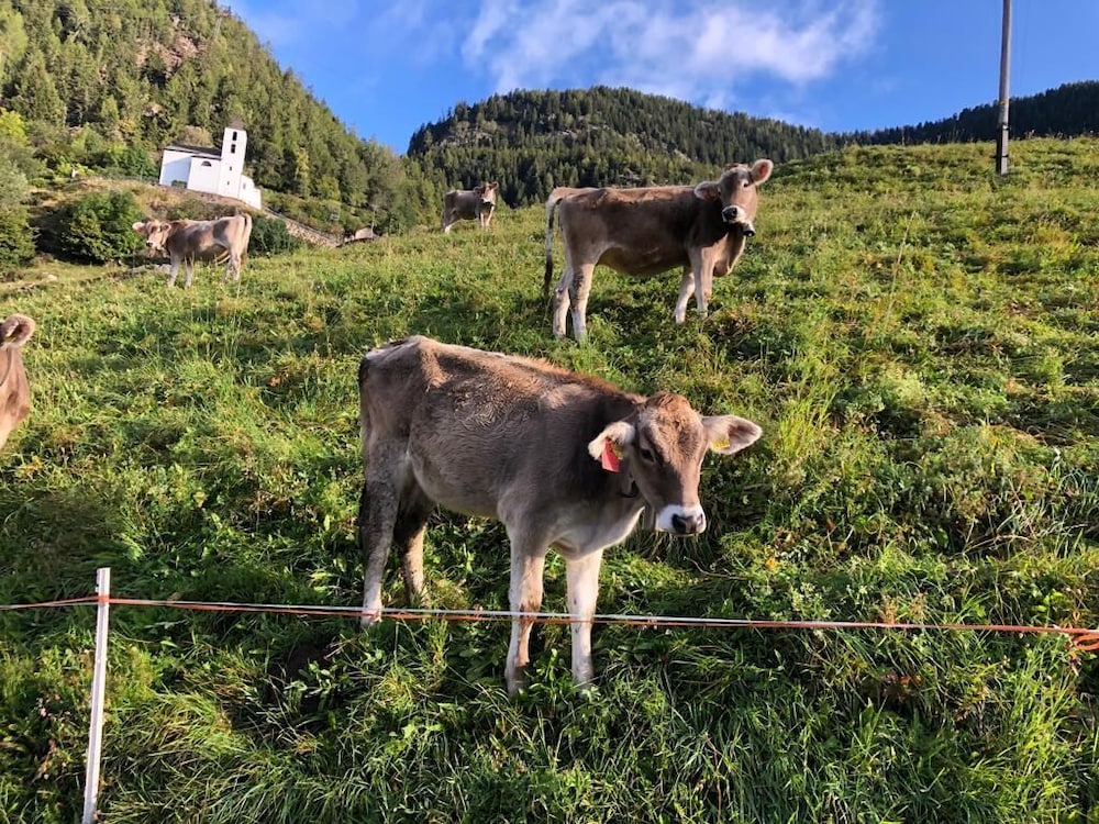 Chalet del Sole