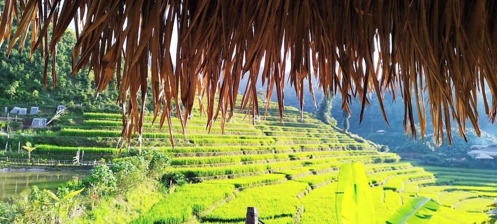 Ban Lien Homestay
