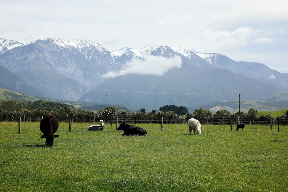 Awatea Country B&B