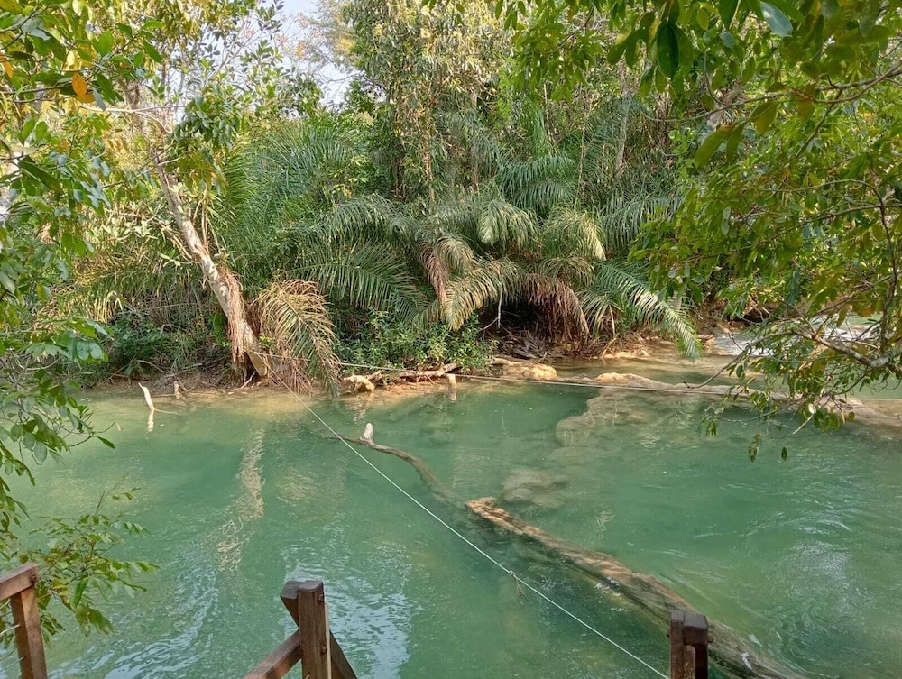 Camping Rio Formoso LTDA