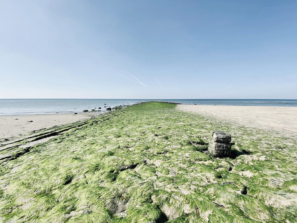 Holiday Home in Callantsoog With Garden view 4