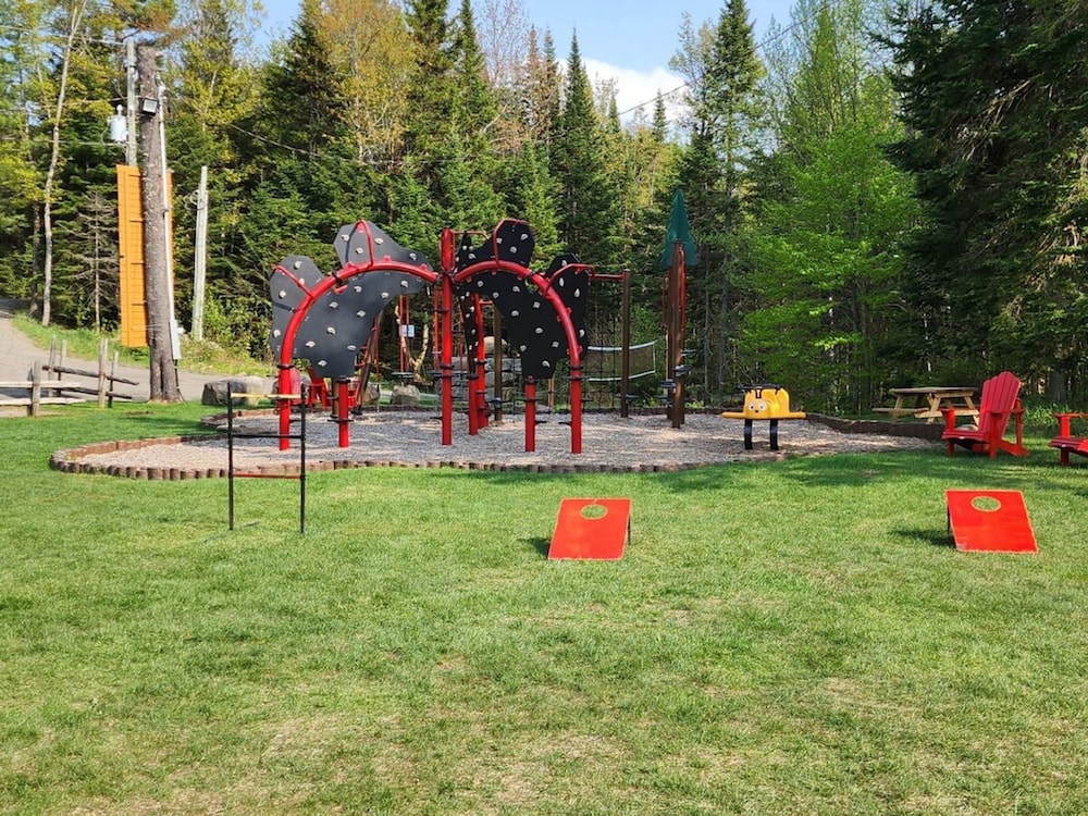 Big Bear Citq 234765