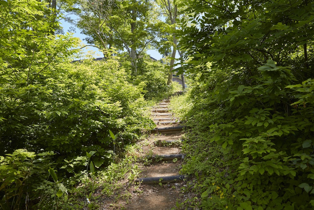 Photo 22