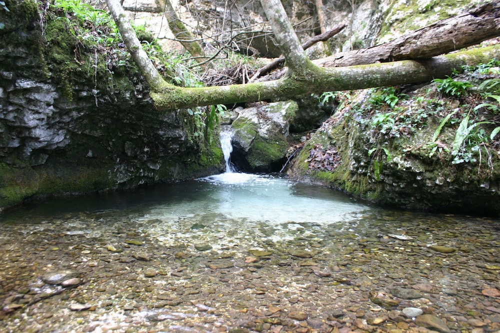 Photo 43