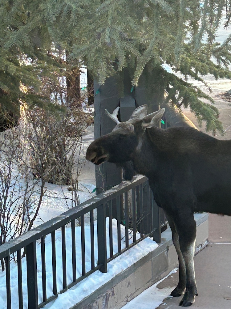 Summit County Vacations - Expedition Station 8607 by SummitCove Vacation Lodging - Property Image 3