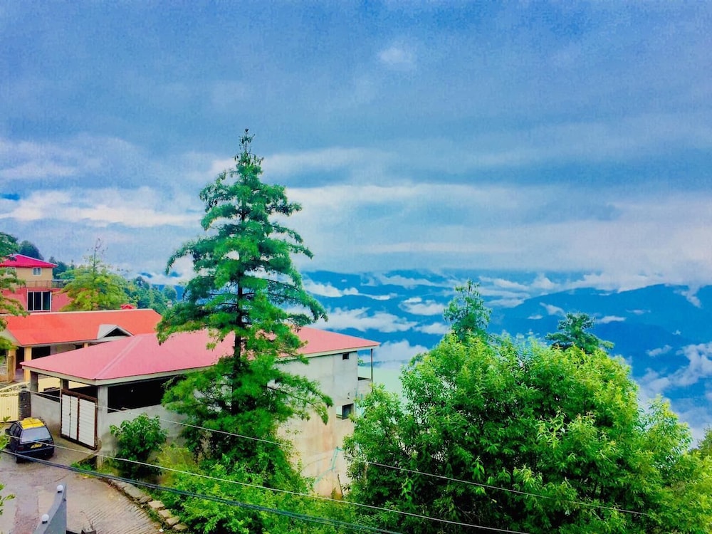 Photo 12