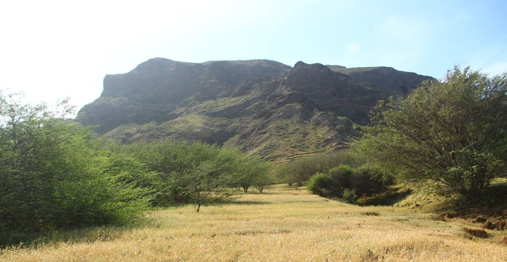 Farinha de Pau - Eco Rural Project