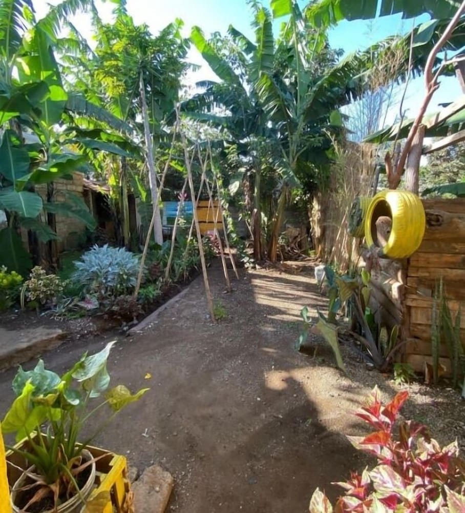 Banana shade hostel view 5