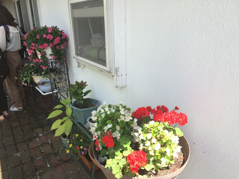 Guest House Vingt-neuf