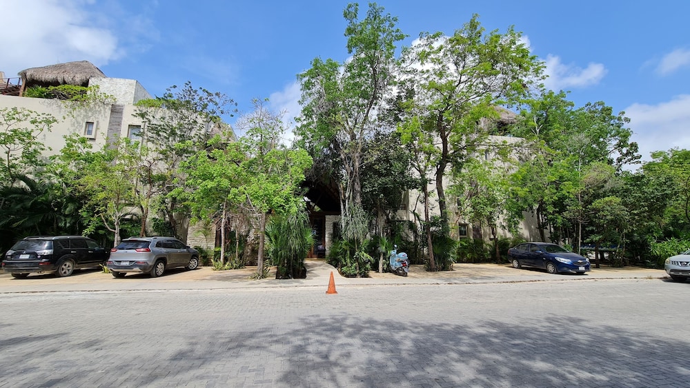 Outstanding Duplex Condo with rooftop view 3