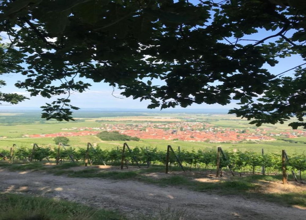 Apartment in Alsace Near Europa-park