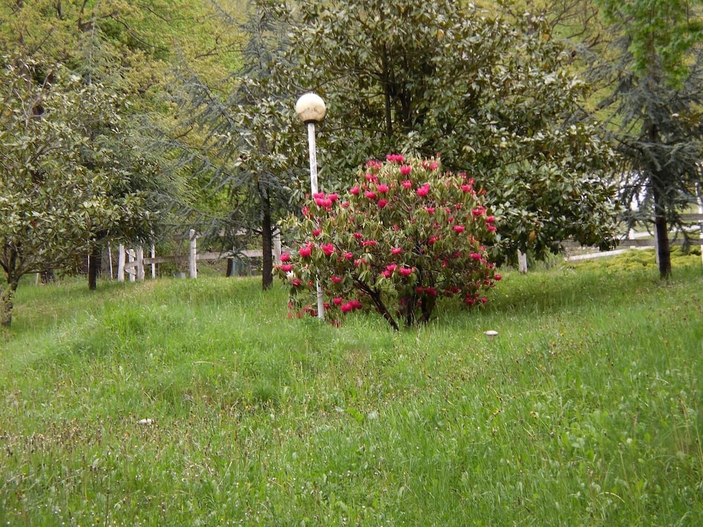 Photo 24