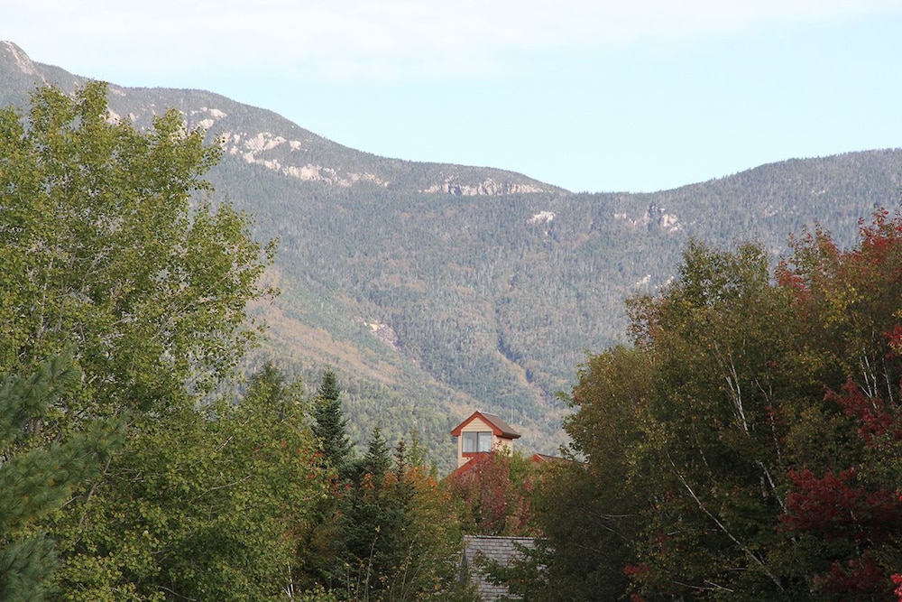 Black Bear Lodge