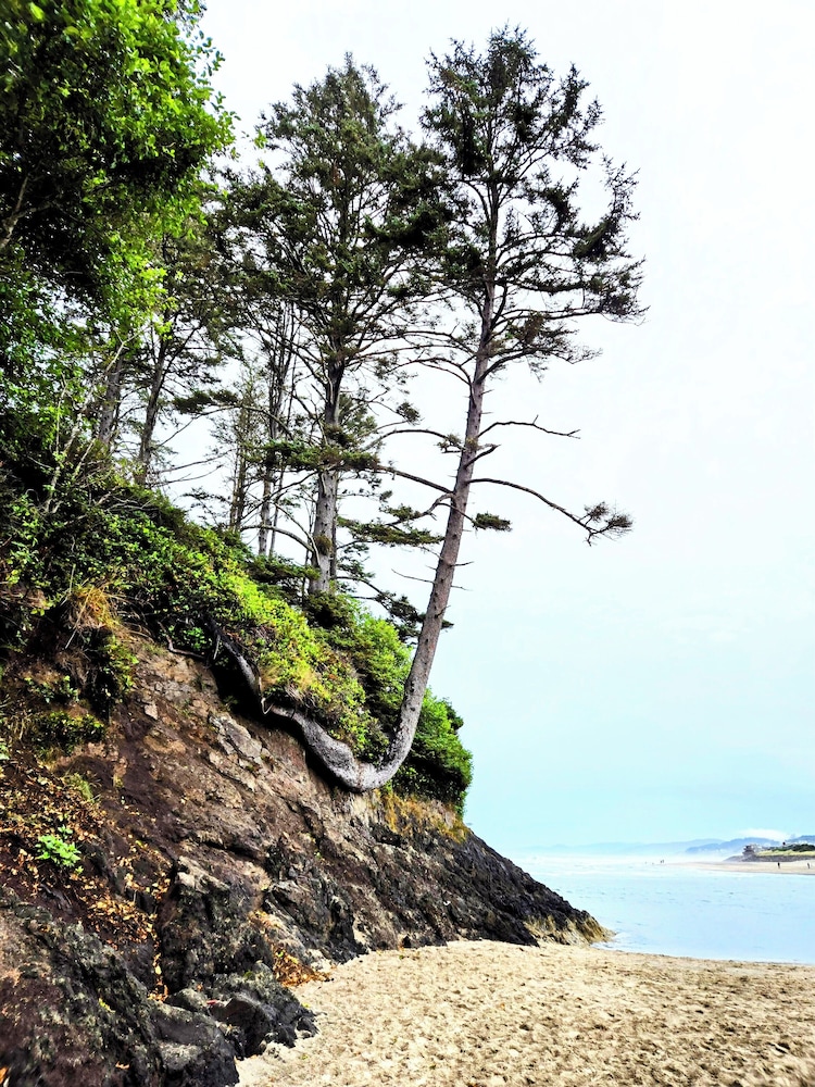 Coastal Adventures, Lake, Ocean, Casinos, Hiking