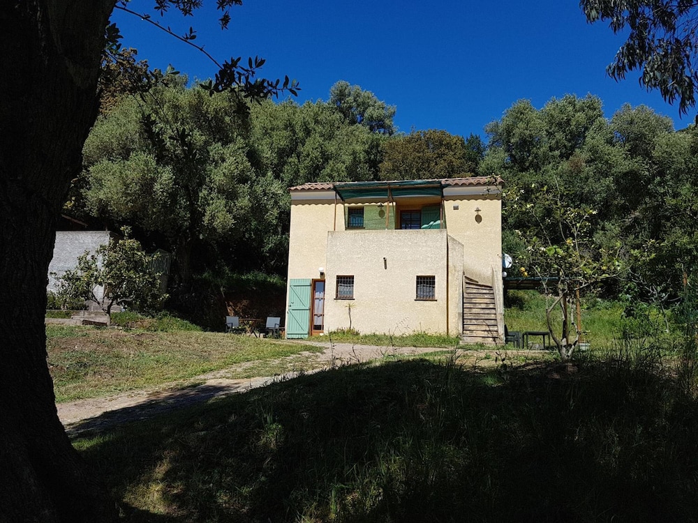 A Casa Di L'Alivu