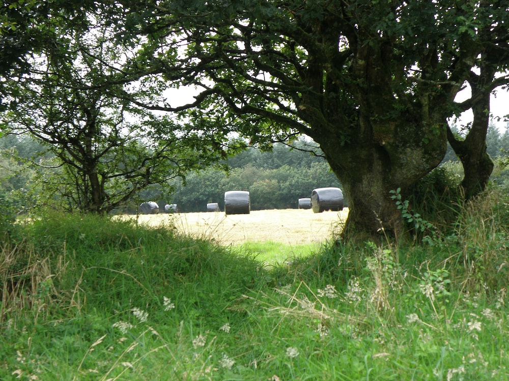 Hay Meadow Farm