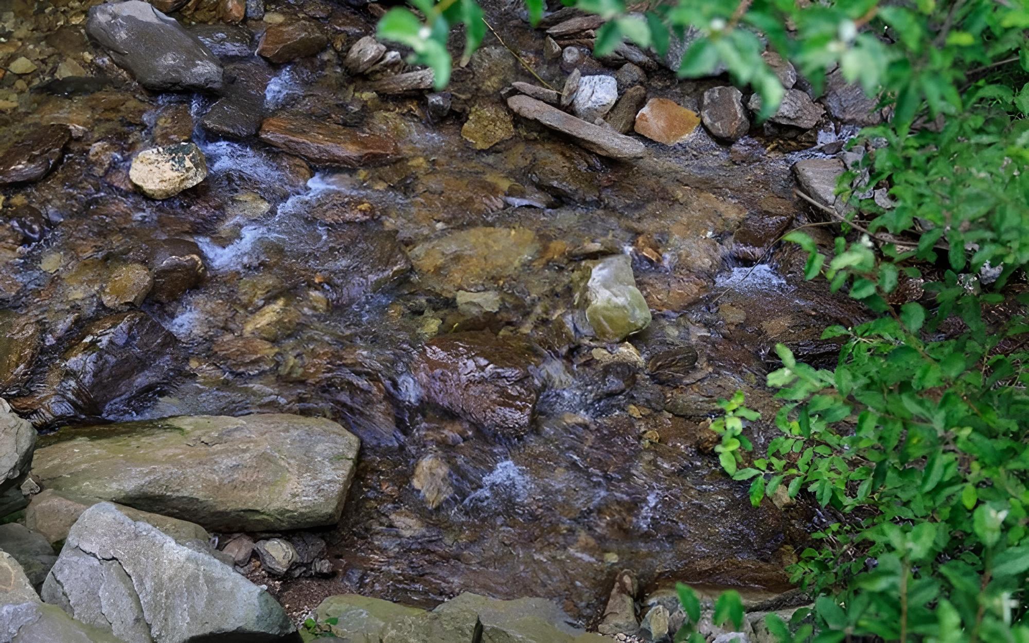 Photo 28