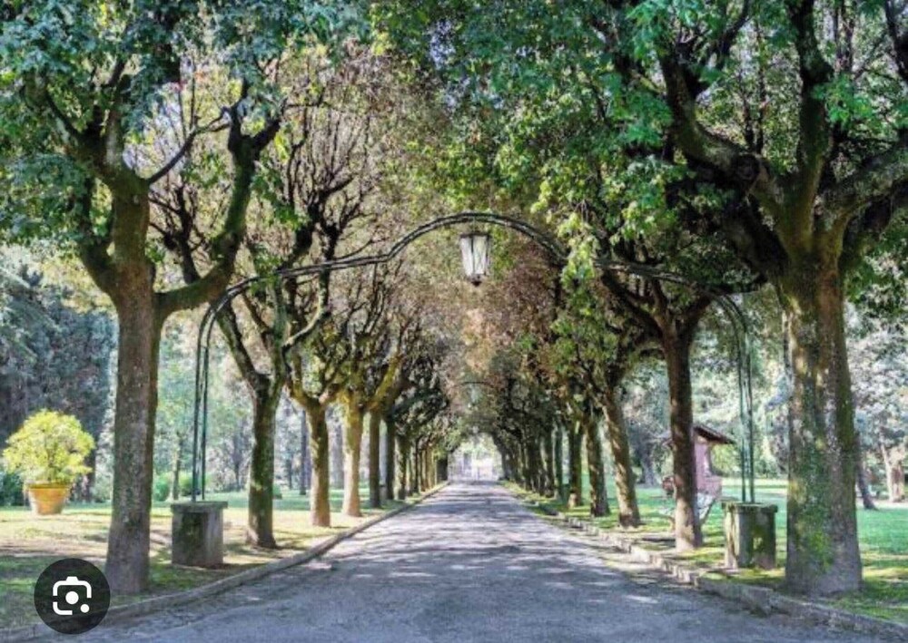 Charming Apt a/c 1br/2p - Rome/camilluccia