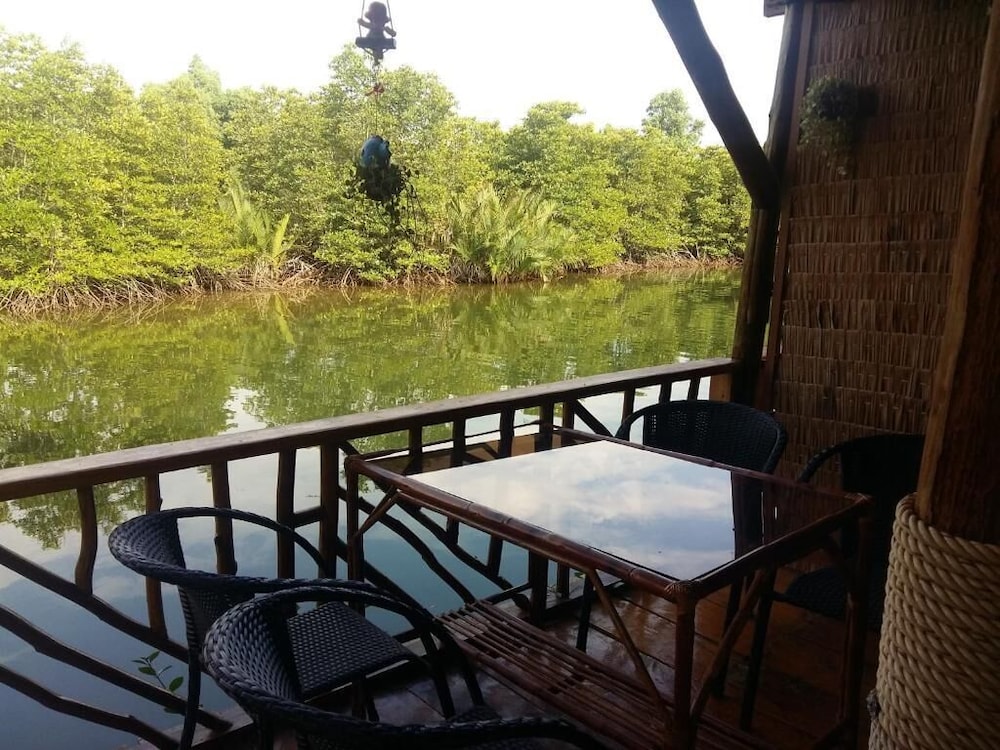 Mangroves & More