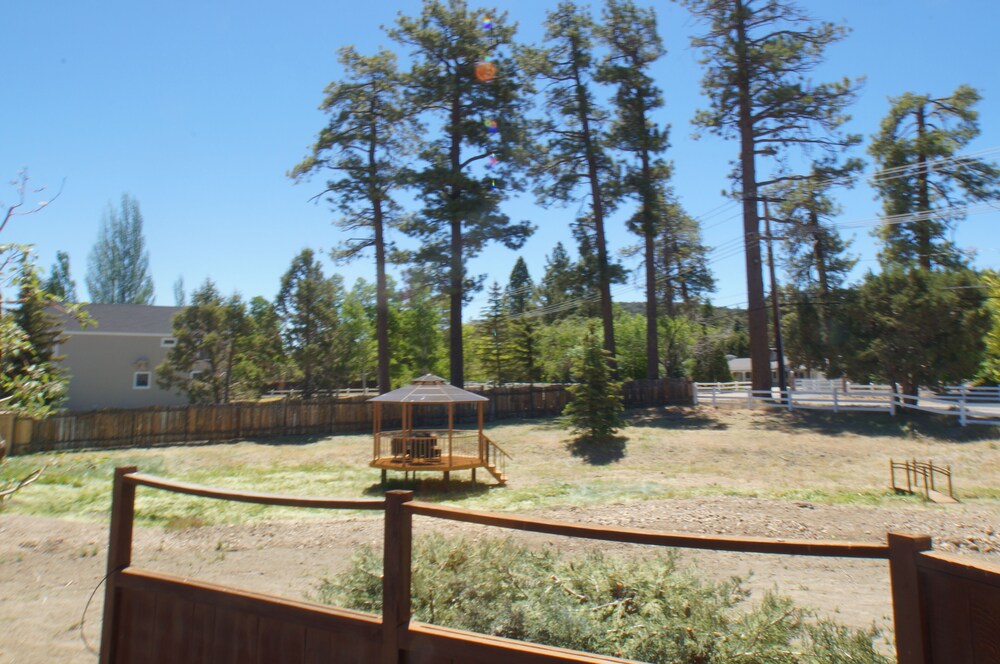 Bunny's Ranch
