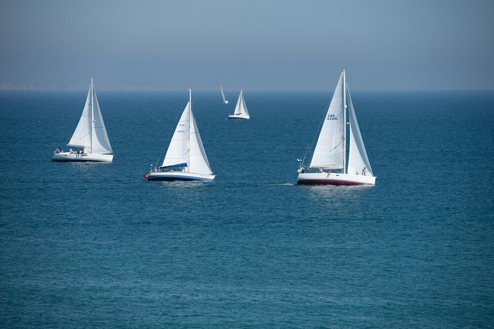 Photo 50