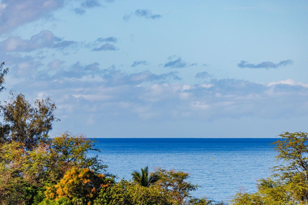 Kihei Beachside Resort Vistas
