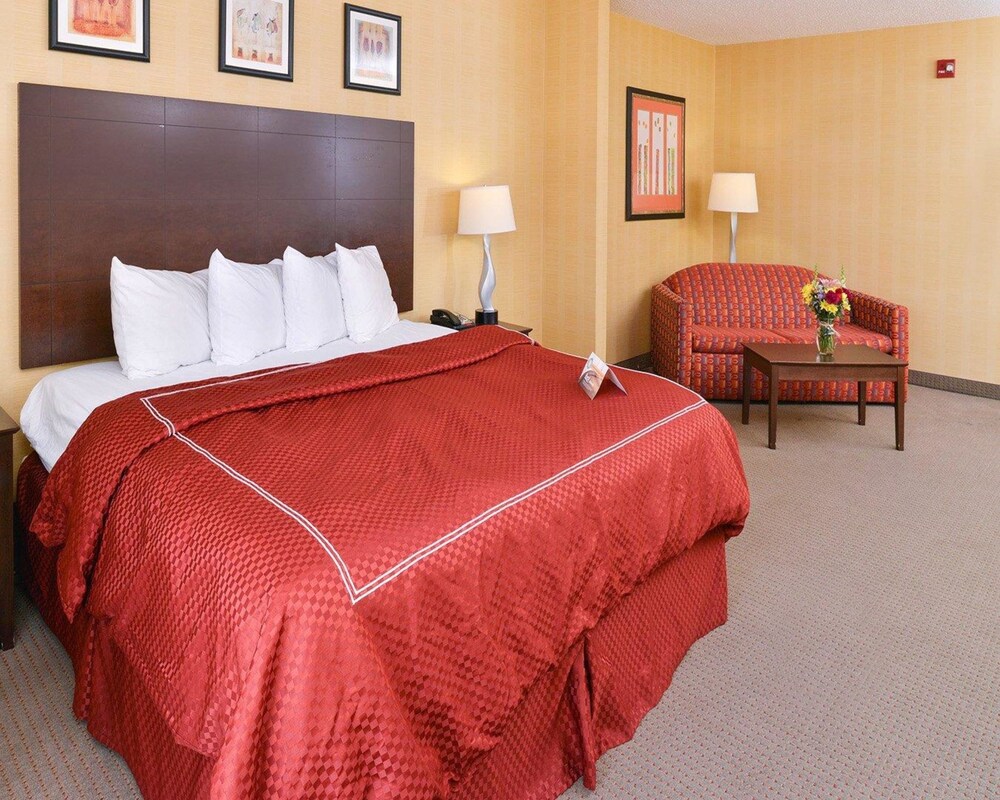 Quality Suites - Property Image 30
