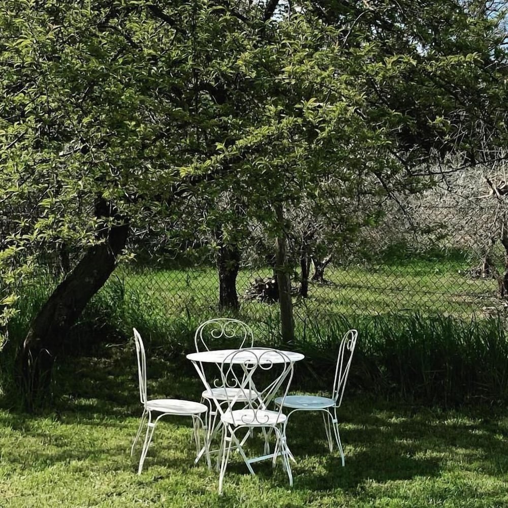 Lemon Tree Boutique Guesthouse