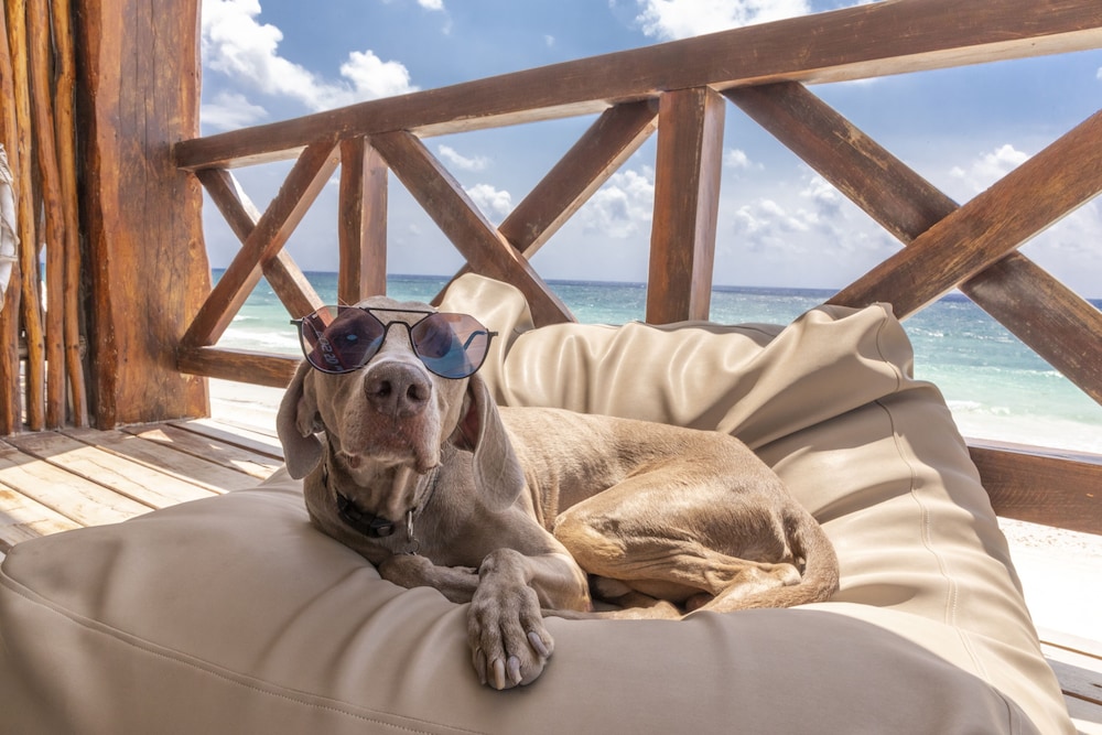 Cancun Vacations - Hotelito Azul - Property Image 4