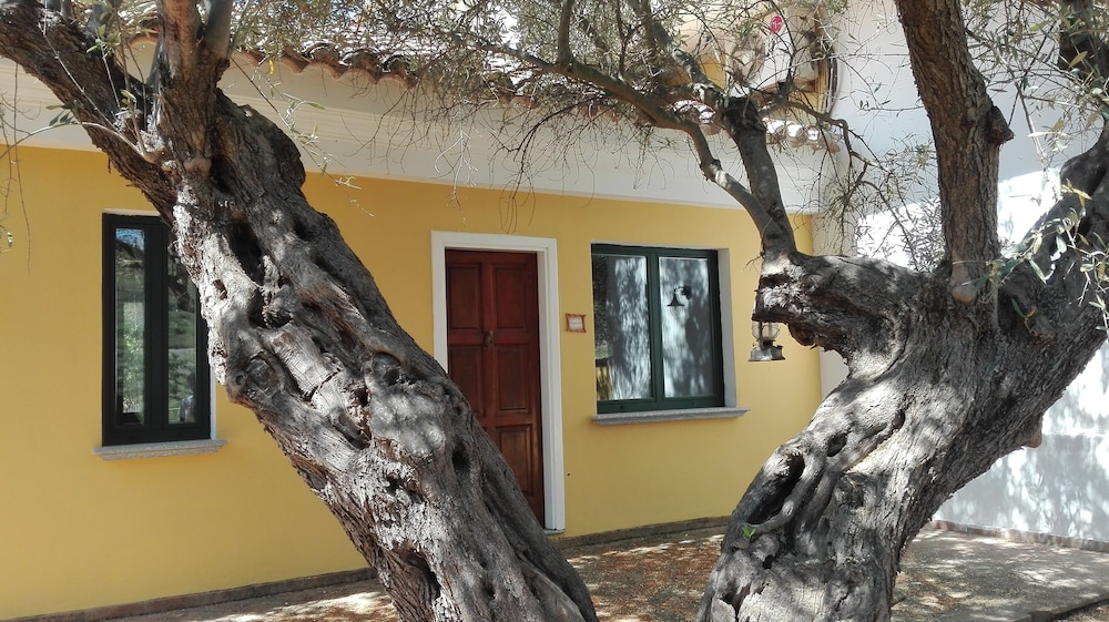 Tenuta Castellesi
